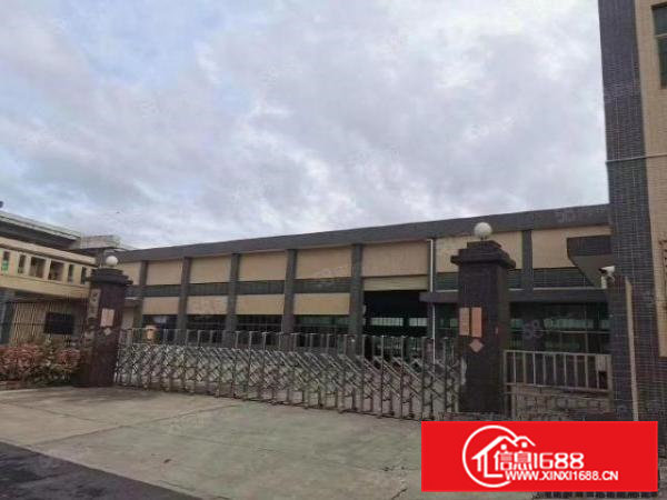 大朗镇水口村原房东独院2300平方单一层