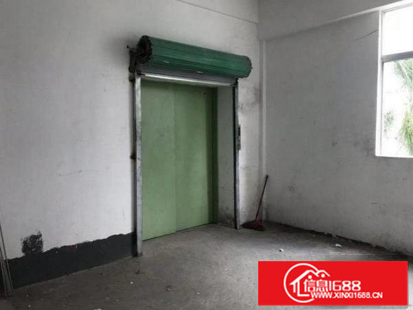 横岗独门独院4500平可分租