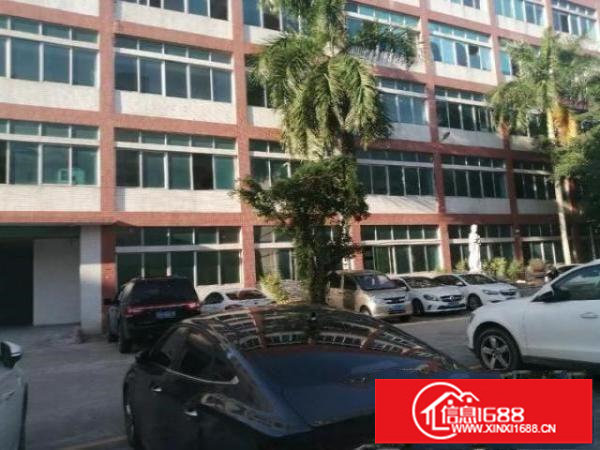 南联一楼精装修1000坪出租