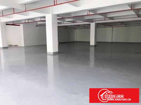 横岗六约社区大型园区新出200平厂房仓库出租,方正好用