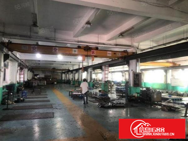 清溪新出原房东一楼厂房1180平方实际面积出租