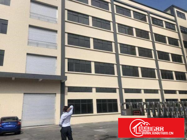 企石原房东全新标准独院厂房出租