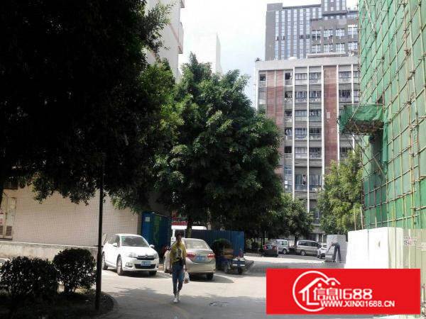 独院厂房，20000平方米招租，货车随便进