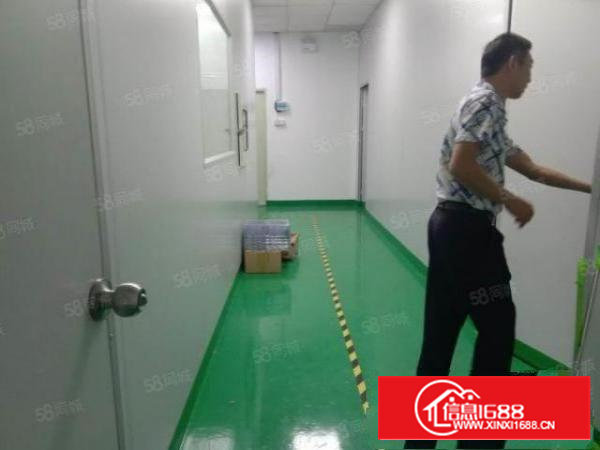 石岩同富裕工业新出小户型250平，精装无转让费