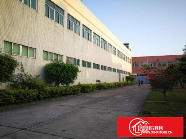 清溪近塘厦原房东标准厂房2600平方低价急租