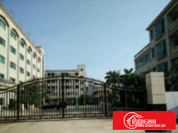 万江新出独院标准厂房一楼1500平方出租，入驻就可生产