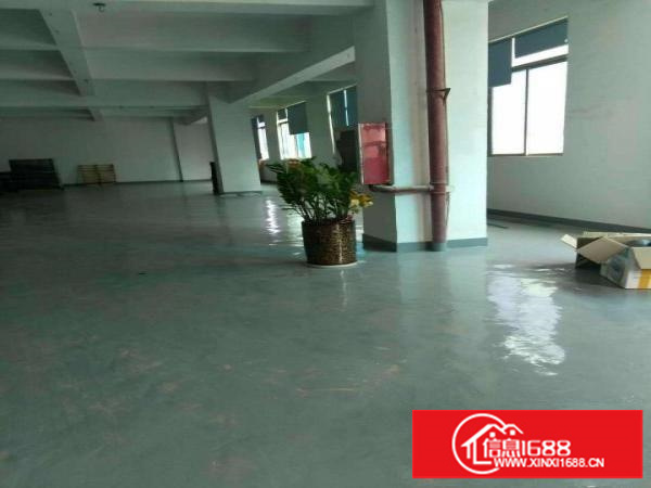 出租宝安新安厂房