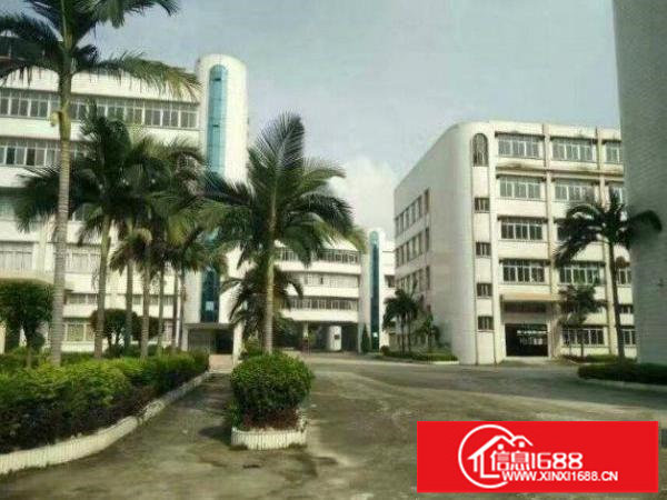 横岗茂兴路二楼1400平方现成地坪漆精装修