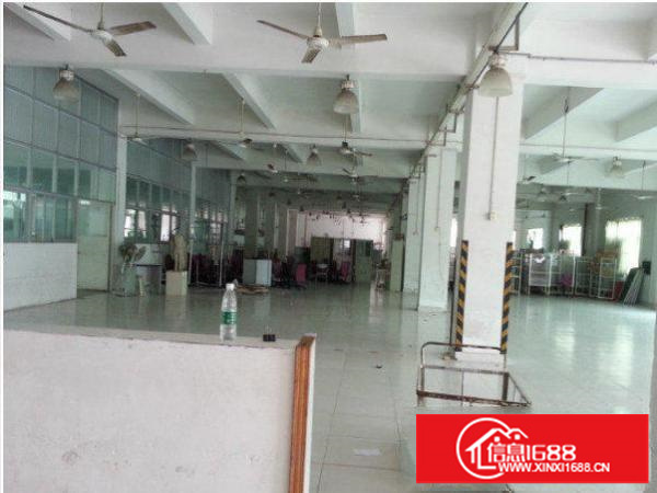 坪山沙湖1至3层标准独院7500平方直租