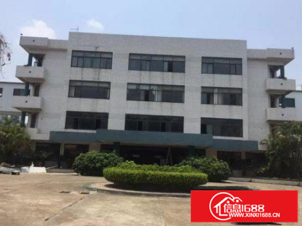 常平桥沥新出楼上730平方带装修厂房