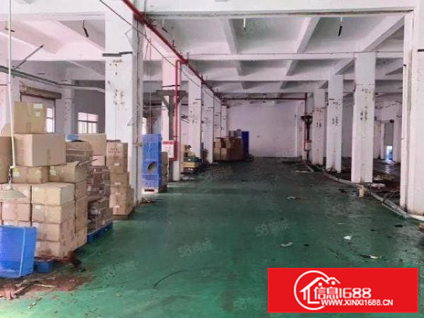 清溪青湖工业区原房东新出厂房独门独院，厂房12层4200