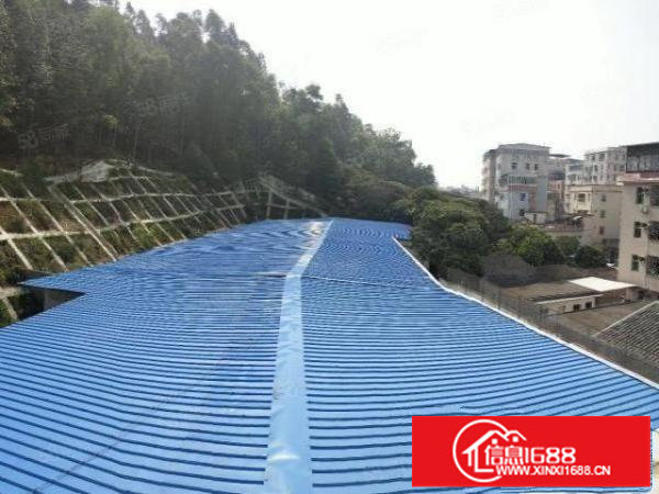 新出平湖经典独院厂房出租770平方