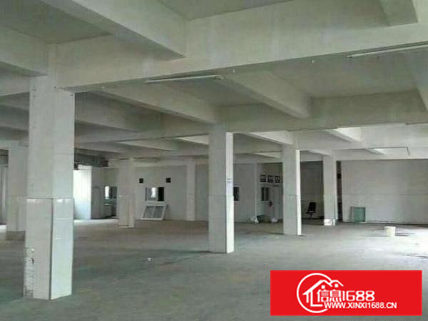 高埗新出独门独院标准厂房6500平方靠主干道，离高速口近