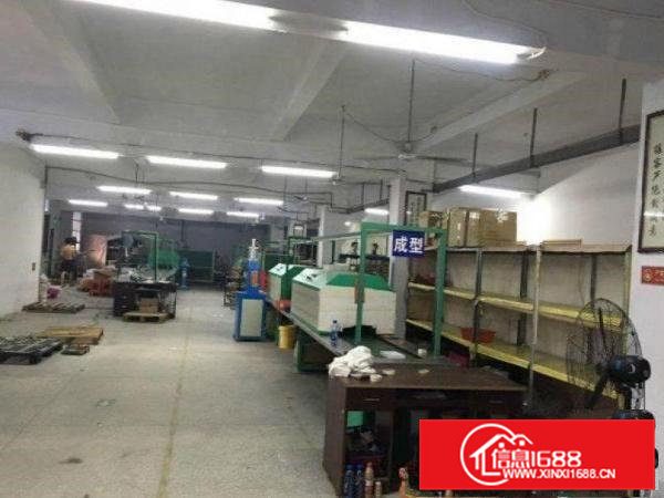 常平镇新出一楼厂房面积550平精装修办公室水电齐全