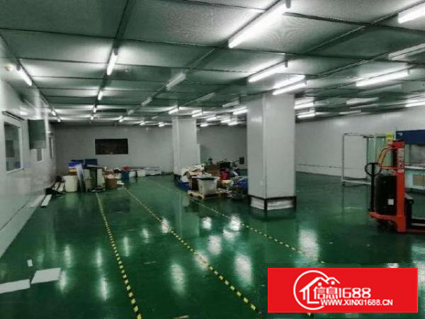 塘厦莆心湖社区楼上2300平精装无尘车间带红本出租，过消防