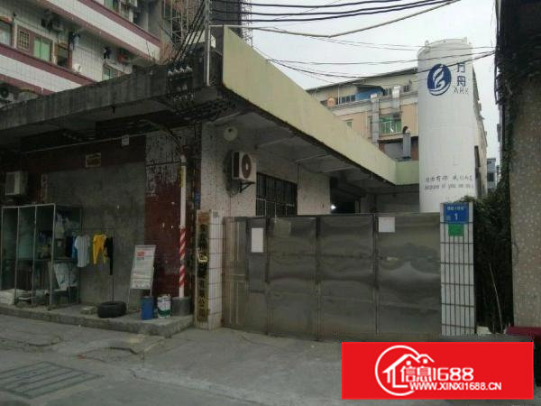 茶山增埗厂房出租(独院)