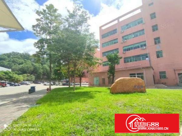 （急租）石岩空地大一楼2000平可分租