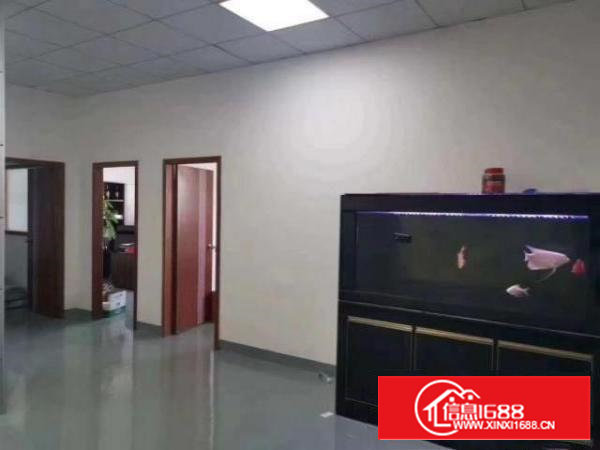 沙井新出500平米精装修厂房出租