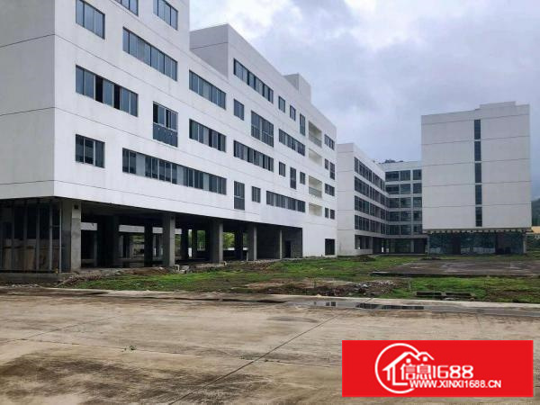 大鹏新区全鑫工业园50000平米全面招租！！