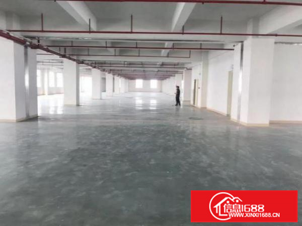 形象好，大货梯，可办环评，厂房出租，勒流2000方