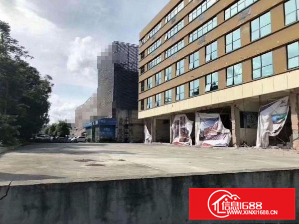 坂田主干道边红本独院厂房20000平宿舍5000平