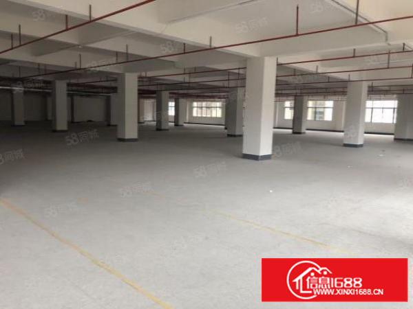 碧湖电商物流产业园原房东楼上1850平带卸货平台6台货梯