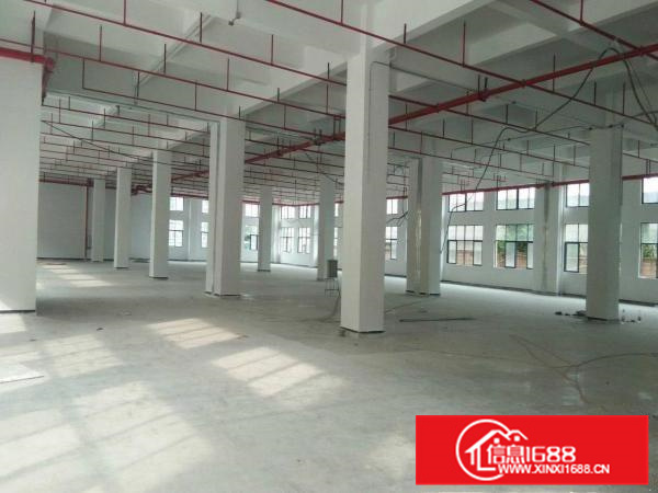 惠阳镇隆50000平米全新工业园厂房出租