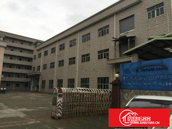 东莞市横沥镇镇中心成熟工业区标准独院厂房