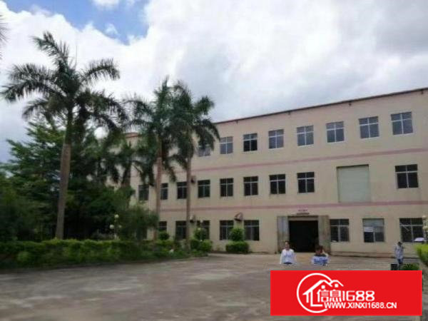 谢坑原房东一楼标准厂房420平出租