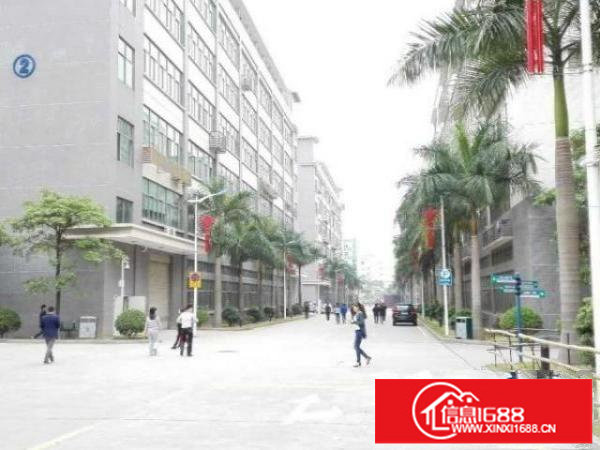 大浪联建科技园新出一楼950平带装修厂房招租