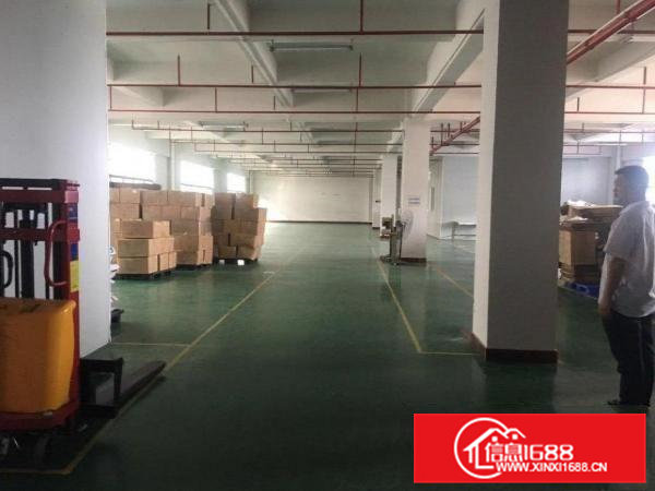 企石原房东独门独户4层厂房