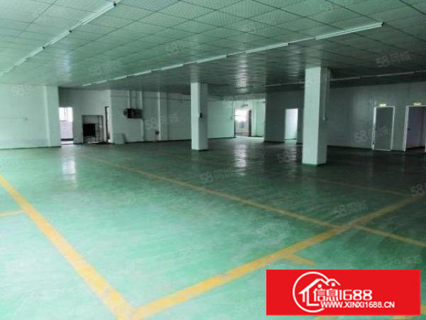 龙岗新生新出精装修标准厂房550平，水电现成，可办环评