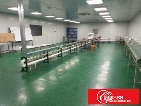 光明玉律村一楼500平米厂房招租，带空地，拎包入住