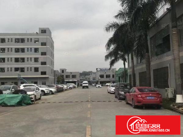 工业用地单一层钢结构厂房1500平方，可做污染行业，带环评