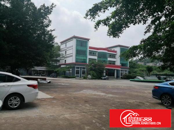 塘厦东深二线原房东独院13000平方！带红本！花园式绿化优美