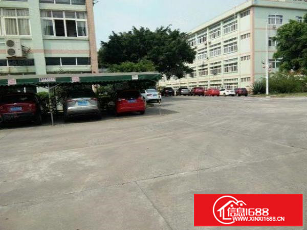 茶山镇南社新出标准厂房一楼整层3000平花园式大空地带红本