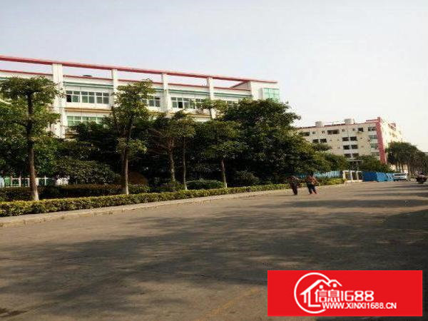 横岗荷坳地铁口二楼精装修厂房2500