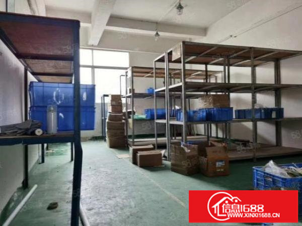 观澜梅观高速出口桂花新出楼上一整层1000平方带豪华装修