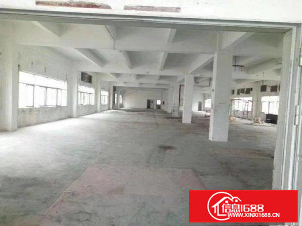 新坪山碧岭带精装修原房东无公摊低价出租k