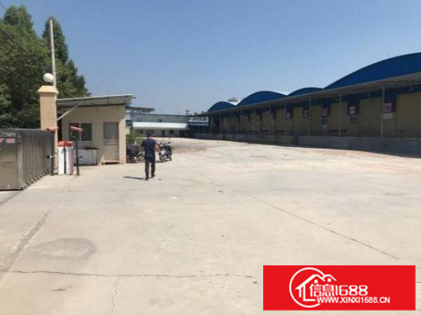 龙华大浪原房东独门独院高台仓出租