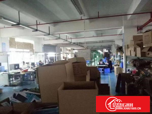 凤岗天堂围楼上厂房便宜出租适合电商贸易电子五金包装