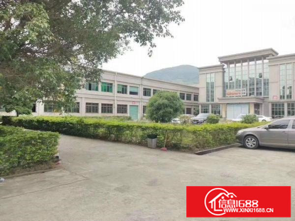 清溪主干道边上花园式厂房出租，独栋办公室装修