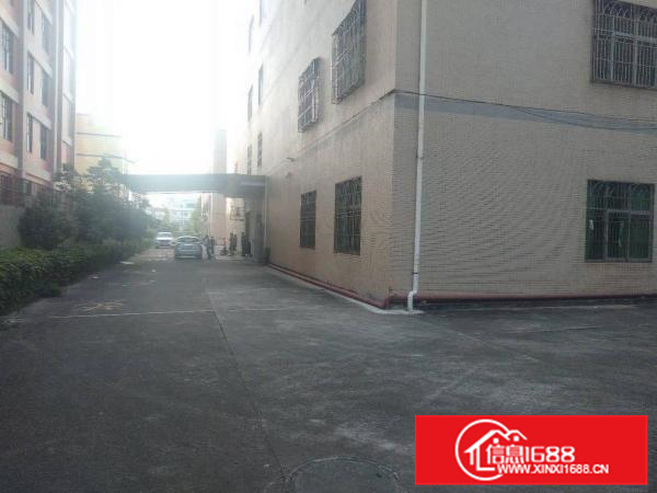 惠阳秋长标准厂房独门独院原房东厂房7500平无公摊带红本