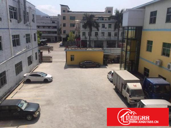 坪山区金碧路厂房业主直租