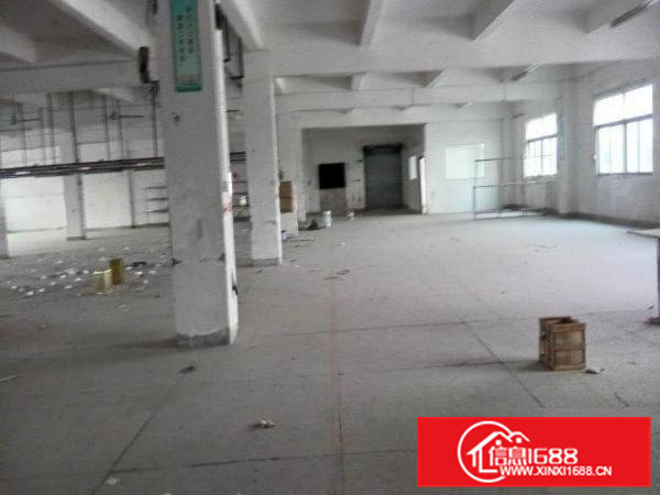 横江厦上坑招租一楼500平方厂房或仓库租金10元