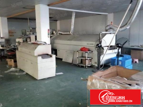 沙井大王山原房东整层500平招租，带2吨独立电梯，4面采光