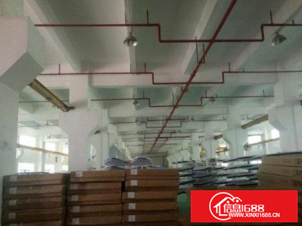 大亚湾新出靓厂房1楼2600平方滴水5米带牛角