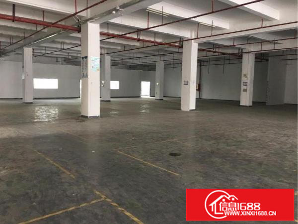 诚信原房东龙岗新生200平至1700平都有价钱优