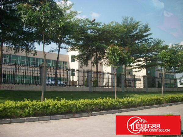 清溪青黄大小面积标准厂房火爆分租300到4000