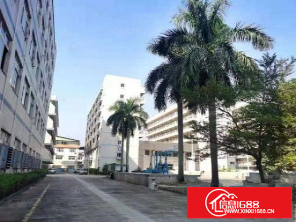 常平花园式大空地国有证独院厂房出租总面积23638平方米可分